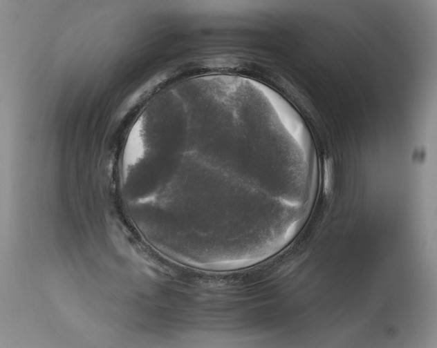 X0000113140723200910021439
