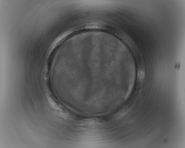 X0000113140724200910021439