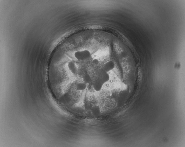 X0000113140725200910021439
