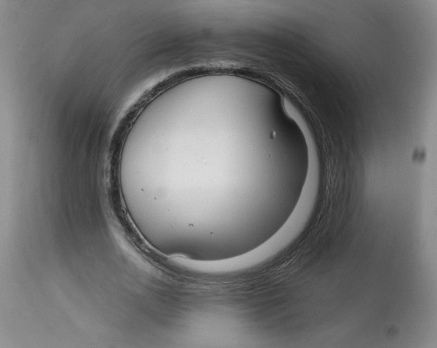 X0000113140726200910021439