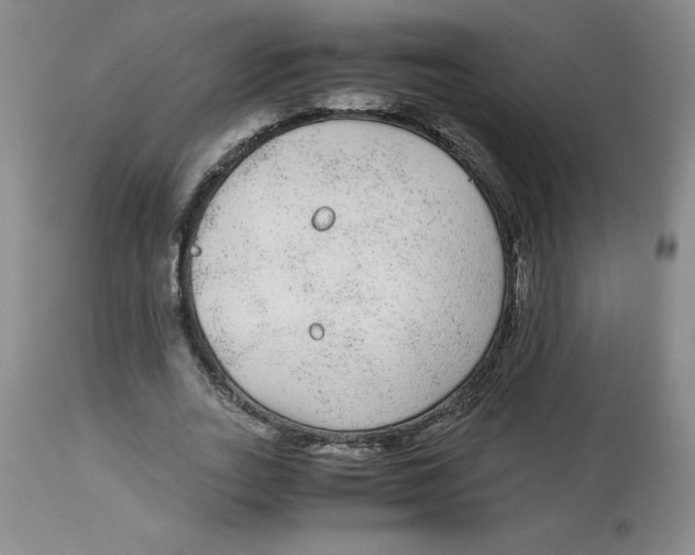 X0000113140727200910021439