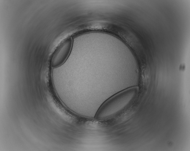 X0000113140728200910021439