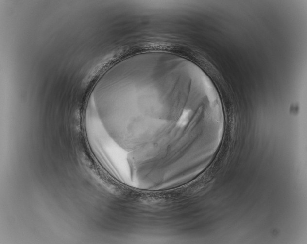 X0000113140729200910021439