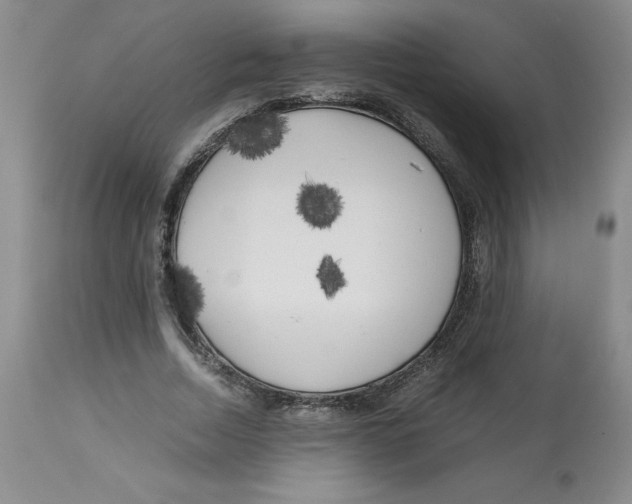 X0000113140730200910021439