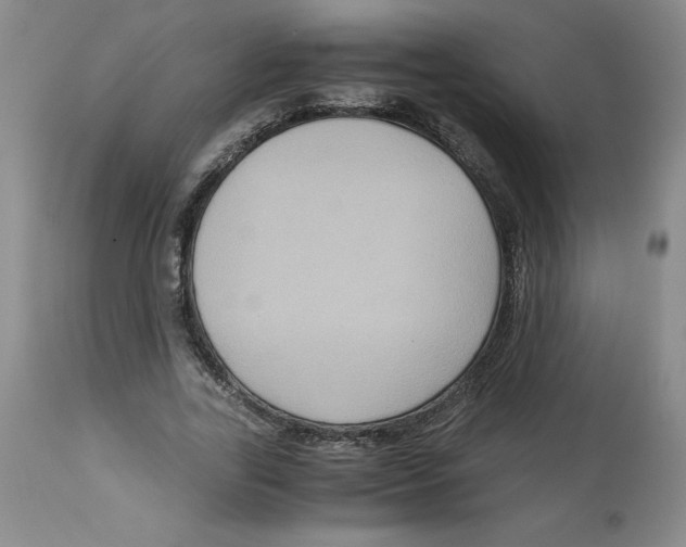 X0000113140731200910021439