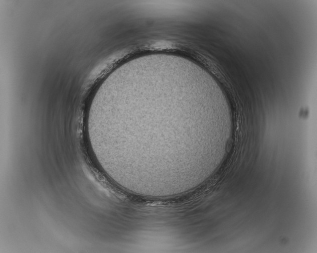 X0000113140732200910021439