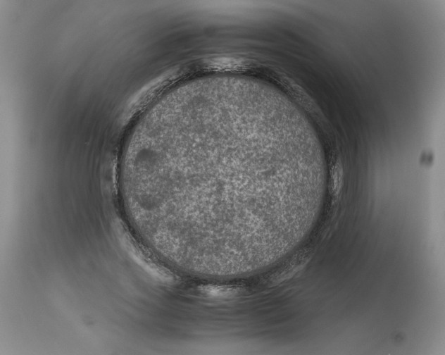 X0000113140733200910021439