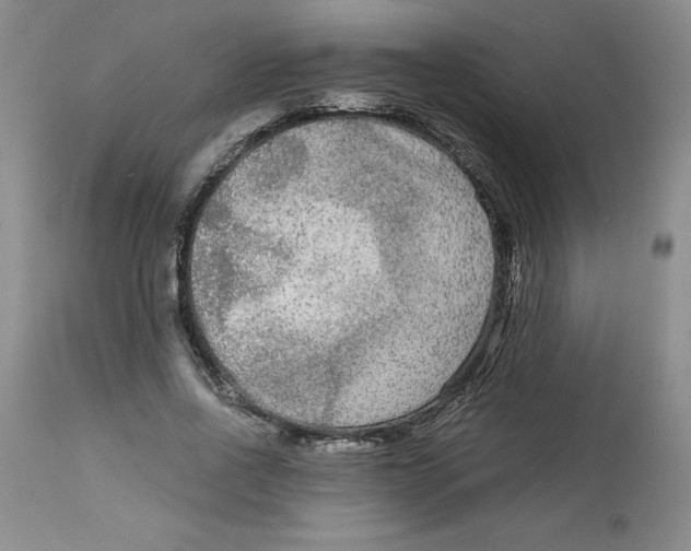 X0000113140734200910021439