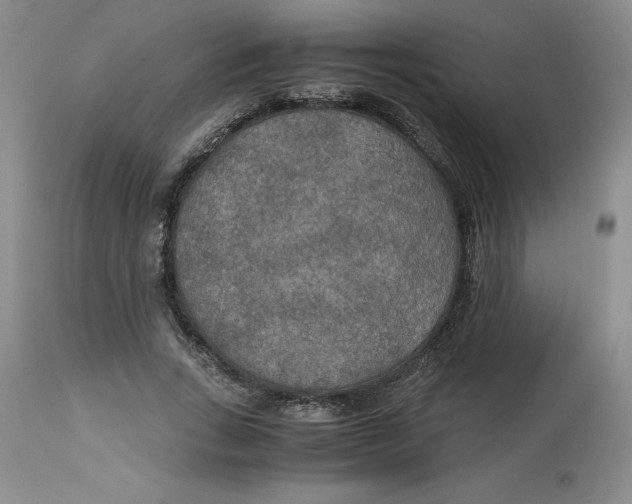 X0000113140735200910021439