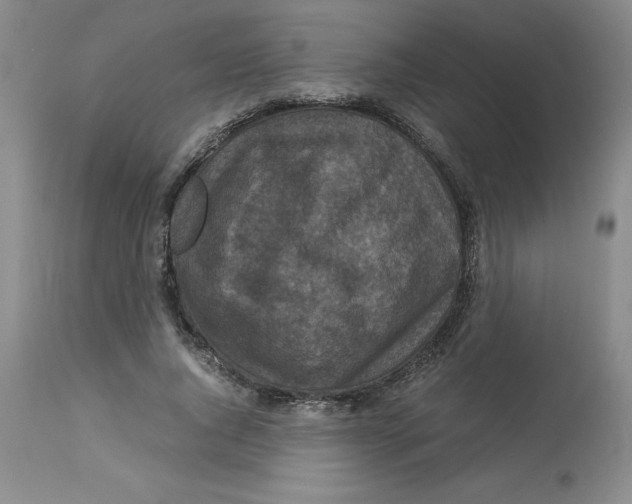 X0000113140736200910021439