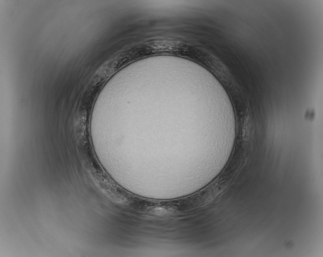 X0000113140737200910021439
