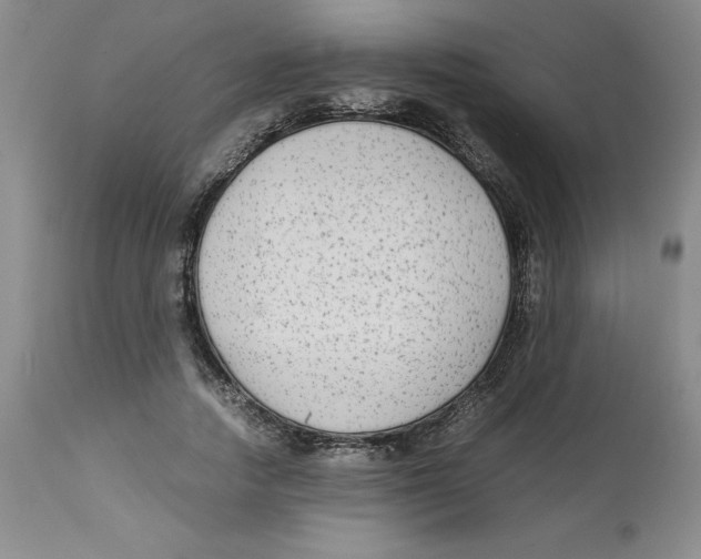 X0000113140738200910021439