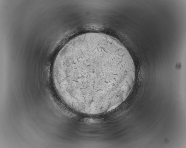 X0000113140739200910021439