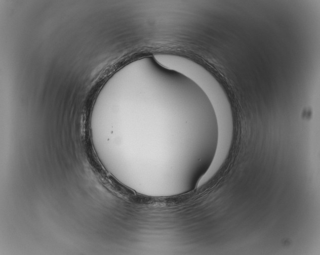 X0000113140740200910021439