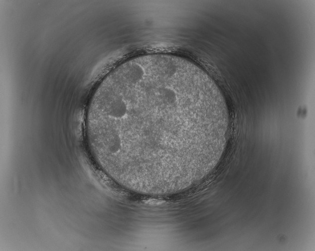 X0000113140742200910021439