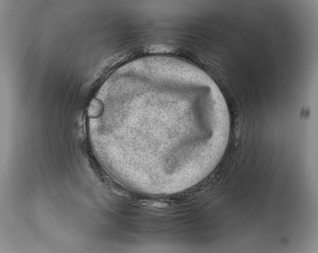X0000113140743200910021439