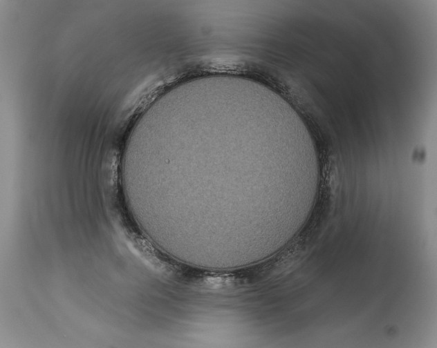 X0000113140744200910021439