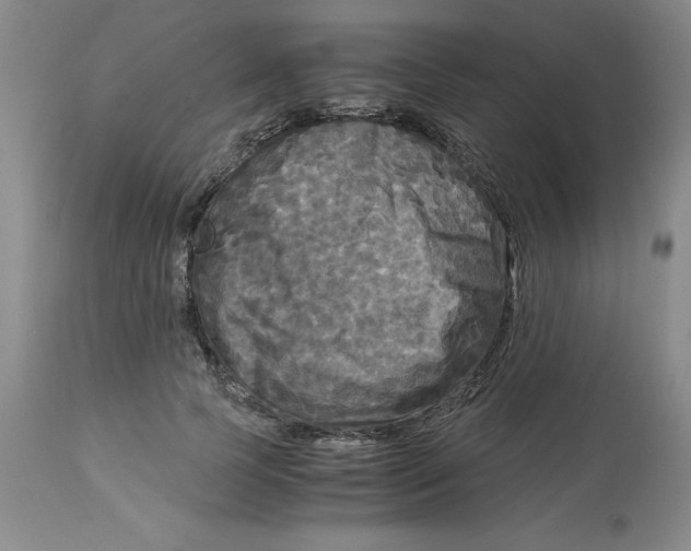 X0000113140745200910021439