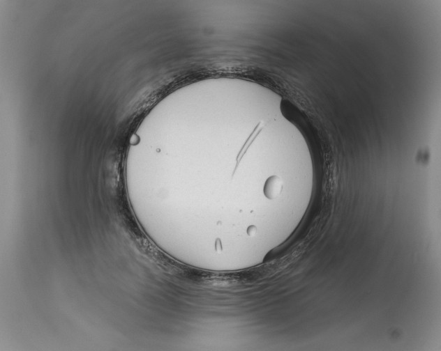 X0000113140746200910021439