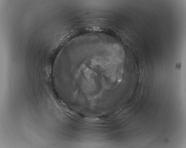 X0000113140747200910021439