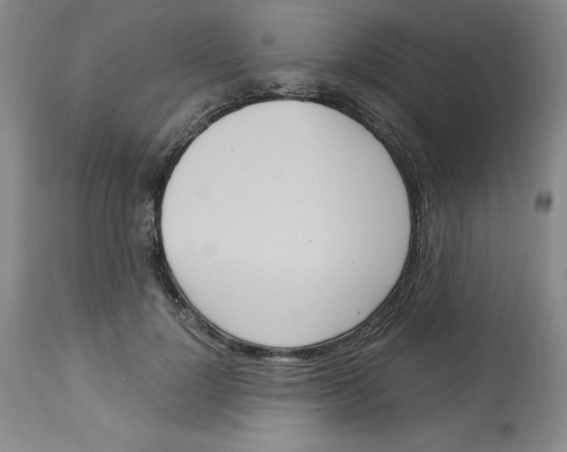 X0000113140748200910021439