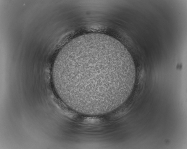 X0000113140749200910021439
