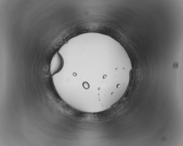X0000113140750200910021439