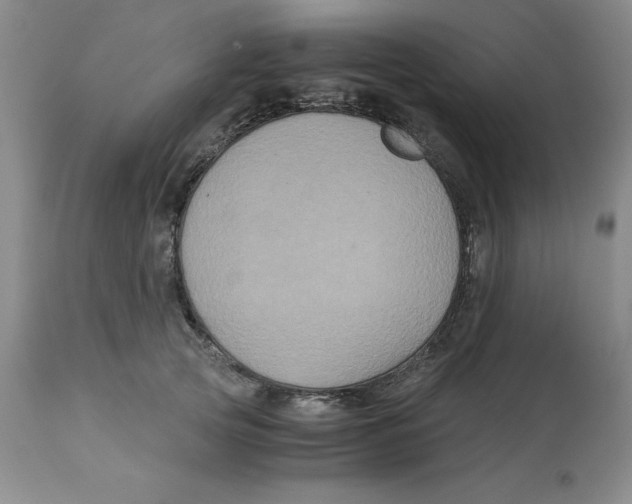 X0000113140753200910021439