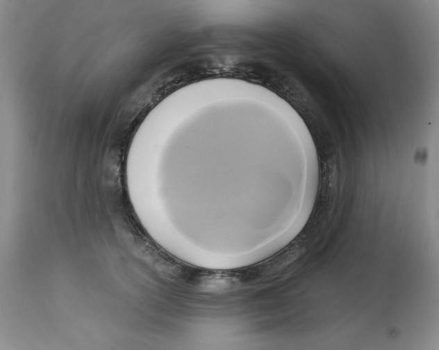 X0000113140754200910021439