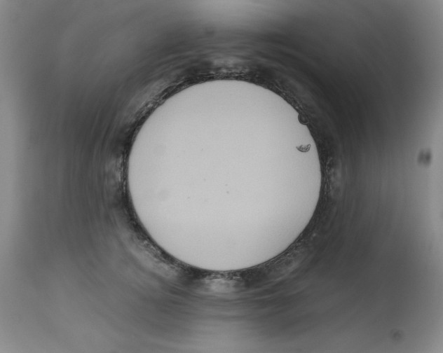 X0000113140756200910021440
