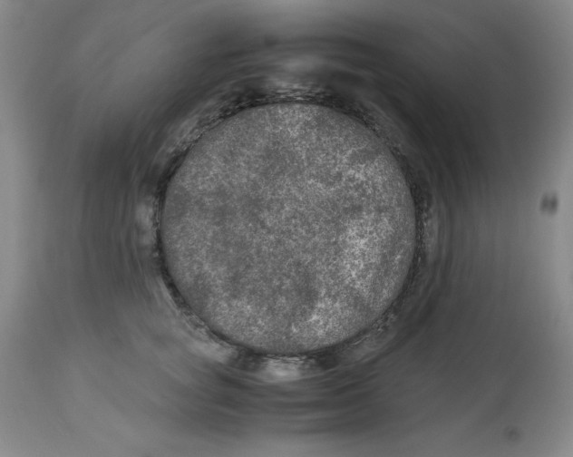 X0000113140757200910021440