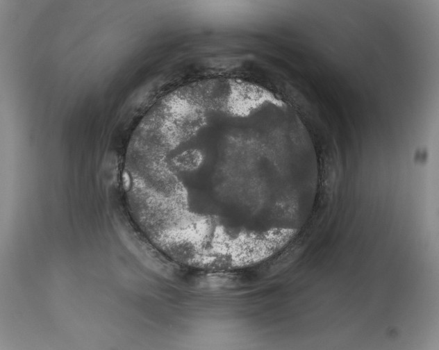 X0000113140758200910021440
