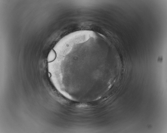 X0000113140759200910021440