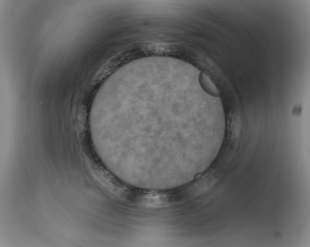 X0000113140760200910021440