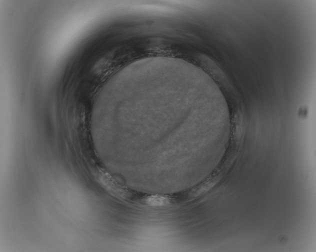 X0000113140762200910021440