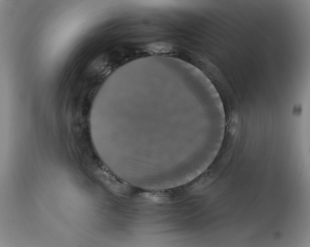 X0000113140763200910021440