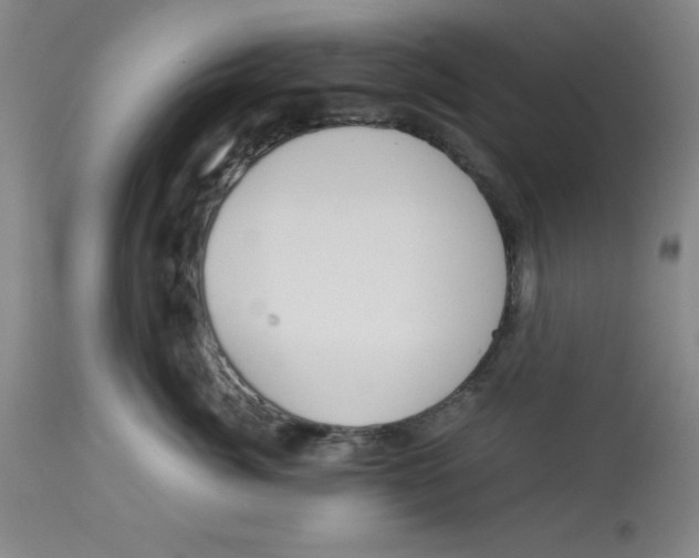 X0000113140764200910021440
