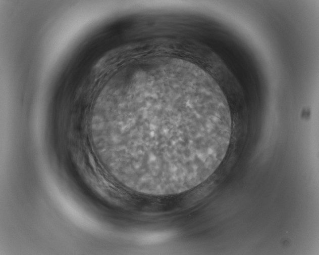 X0000113140765200910021440