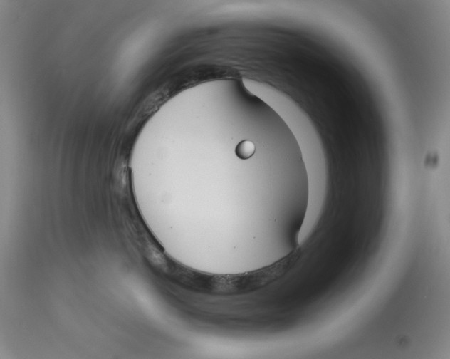 X0000113140766200910021440