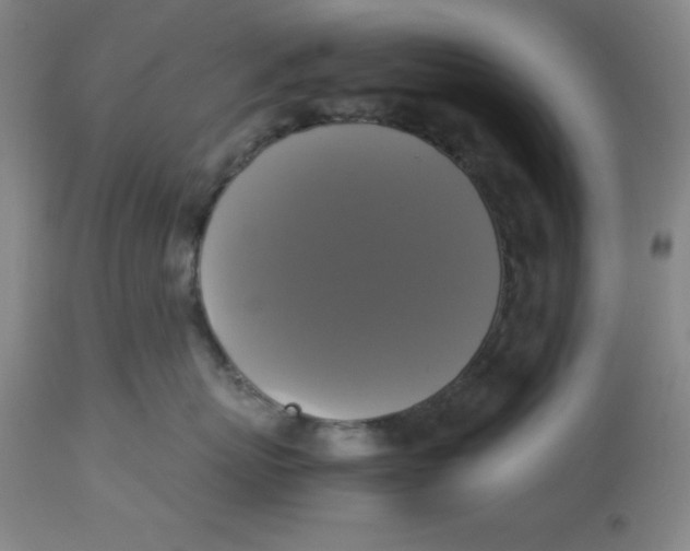 X0000113140767200910021440