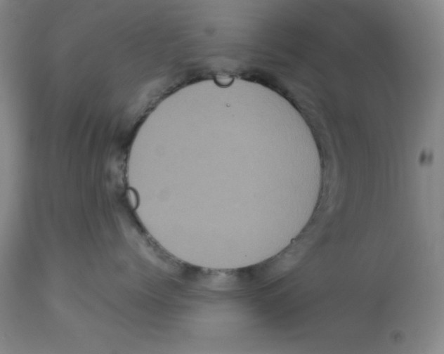 X0000113140768200910021440
