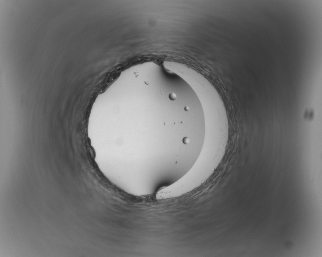 X0000113140769200910021439
