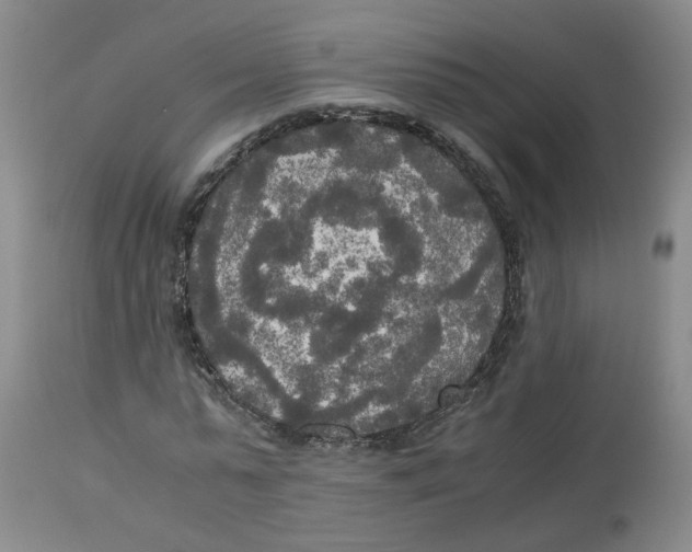 X0000113140775200910021439