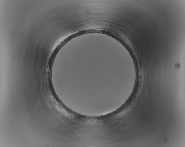 X0000113140779200910021439