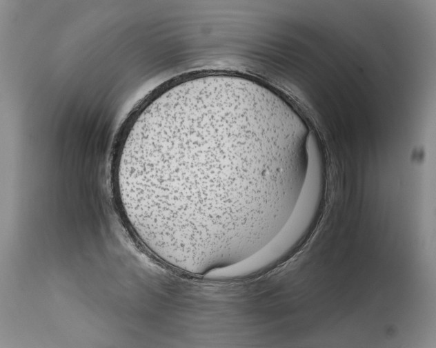 X0000113140780200910021439