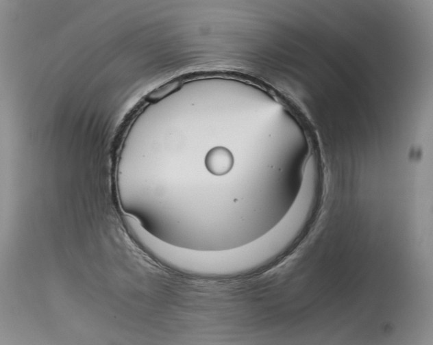 X0000113140781200910021439