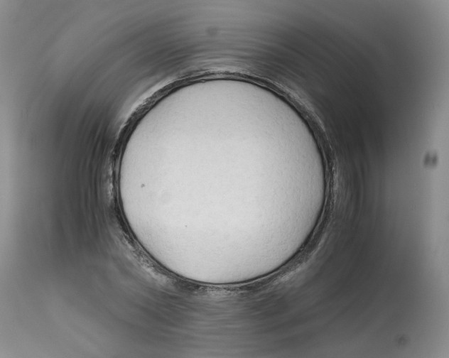 X0000113140782200910021439