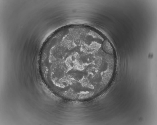 X0000113140783200910021439
