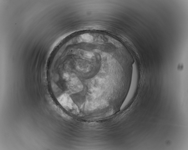 X0000113140784200910021439