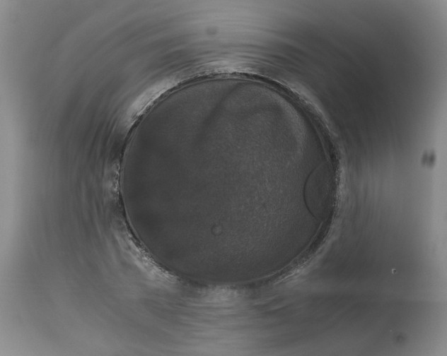 X0000113140785200910021439